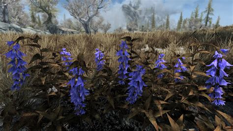 skyrim plants